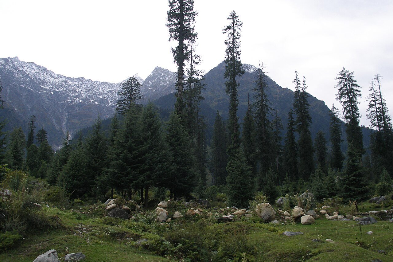 Chandigarh, Shimla, Manali, Dharamshala & Dalhousie Tour to Pathankot photo 3