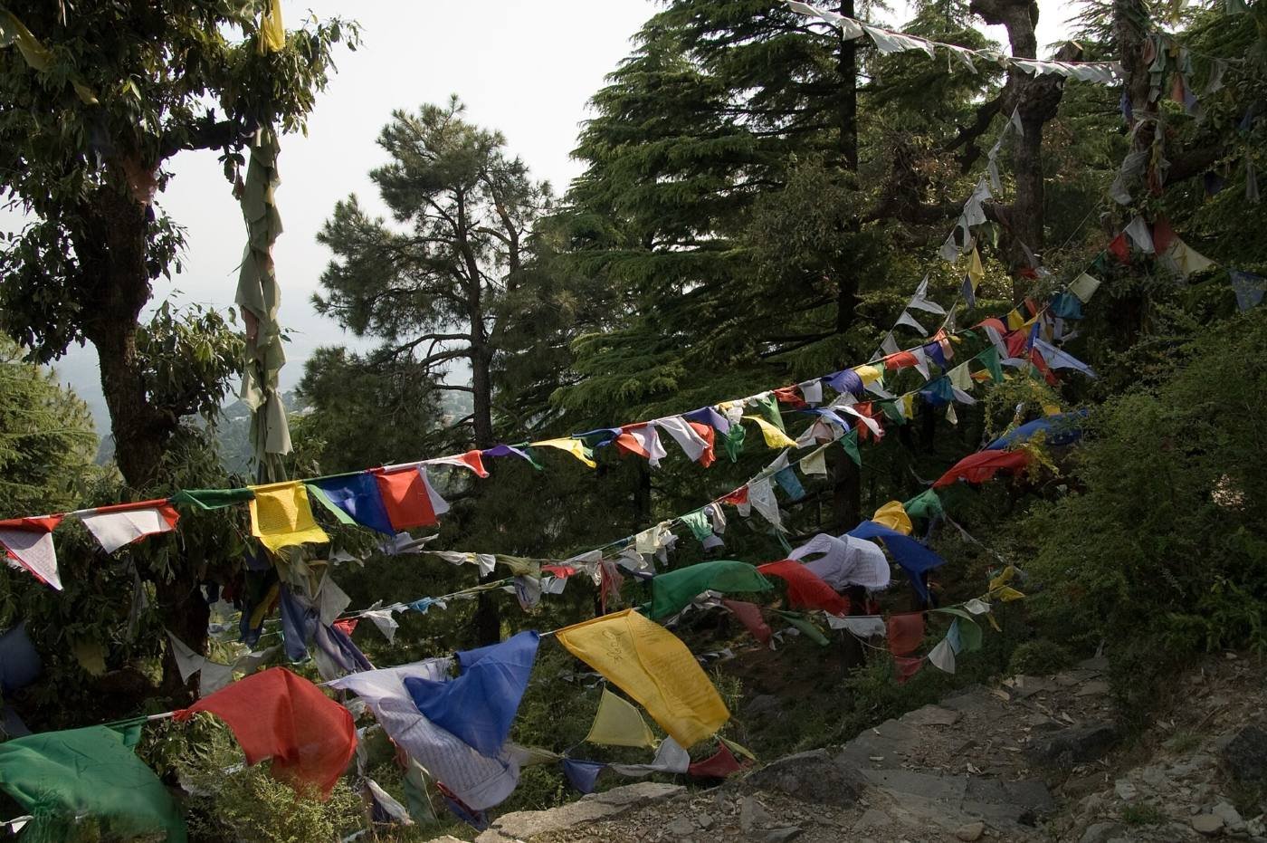 Tibetan prayer flags in McLeodganj